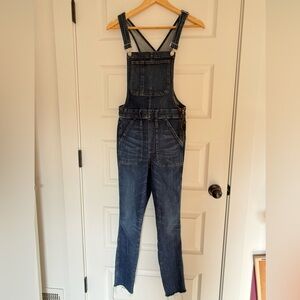 Madewell Denim Skinny Overalls